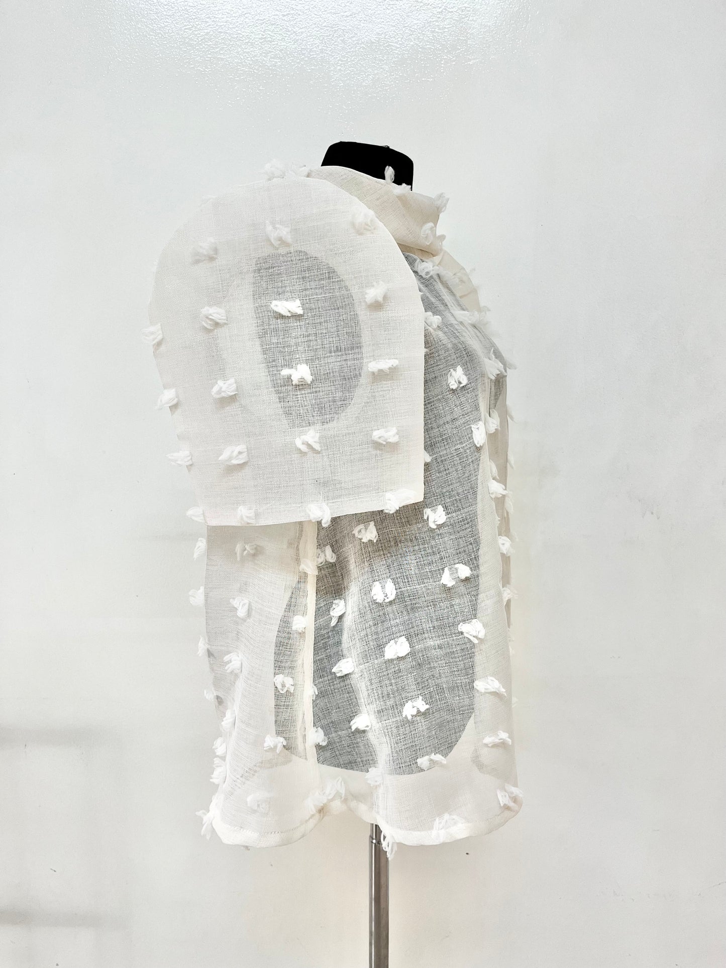 Habi Shawl Collar Modern Filipiniana Top